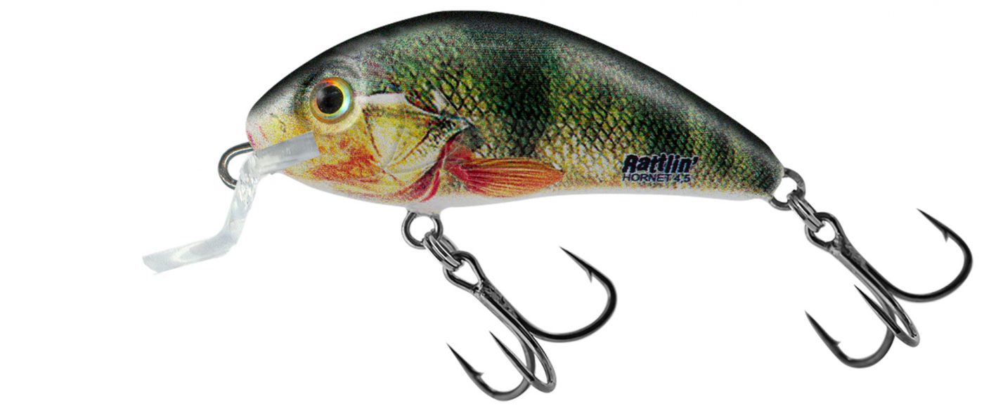 Salmo Lil Bug 2cm Floating Lure – Tackle Tavern