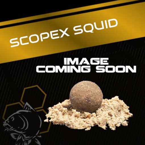 Nash Scopex Squid Wafters