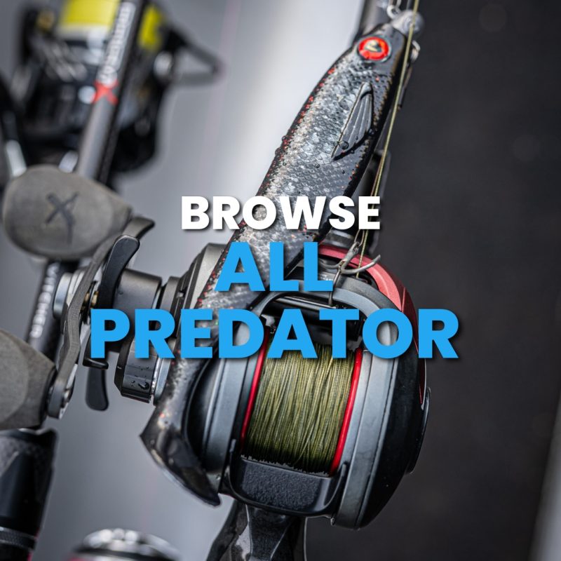 ALL PREDATOR