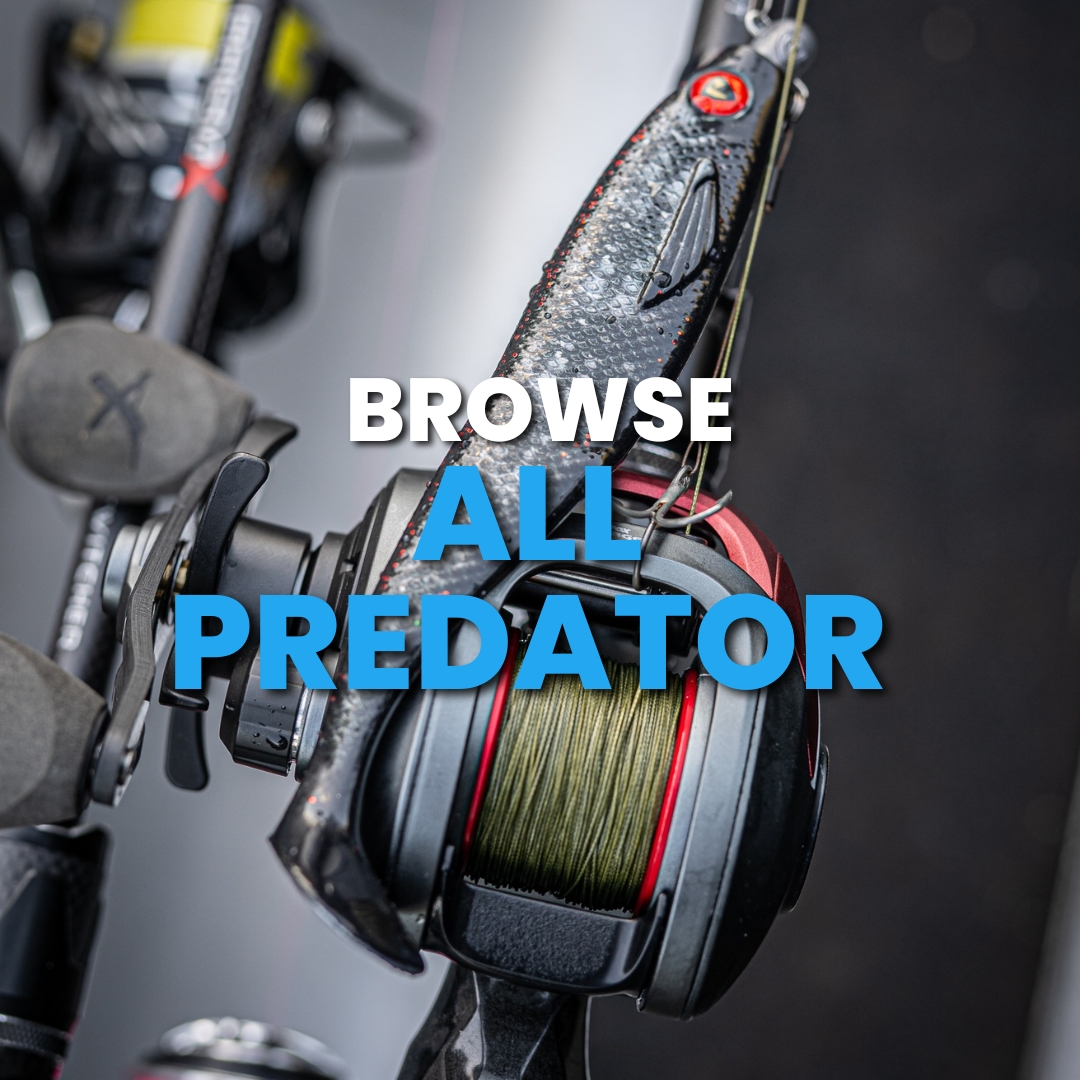 ALL PREDATOR