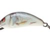 Salmo Hornet Hard Lure