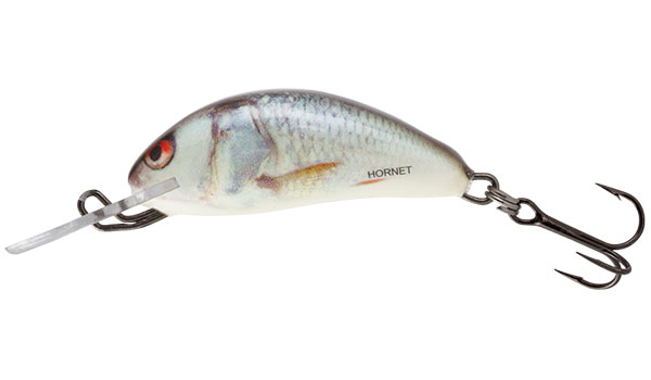 Salmo Hornet Hard Lure