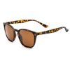 Korda Shoreditch Tortoiseshell Polaroid Glasses