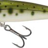 Salmo Minnow Sinking Hard Lure