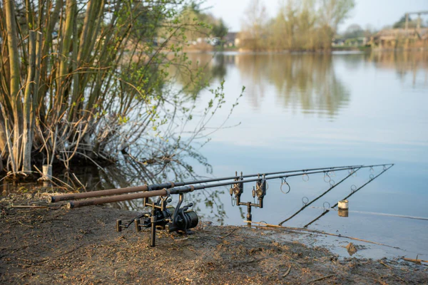 Nash Scope OPS Dark Cork Carp Rod - Image 13