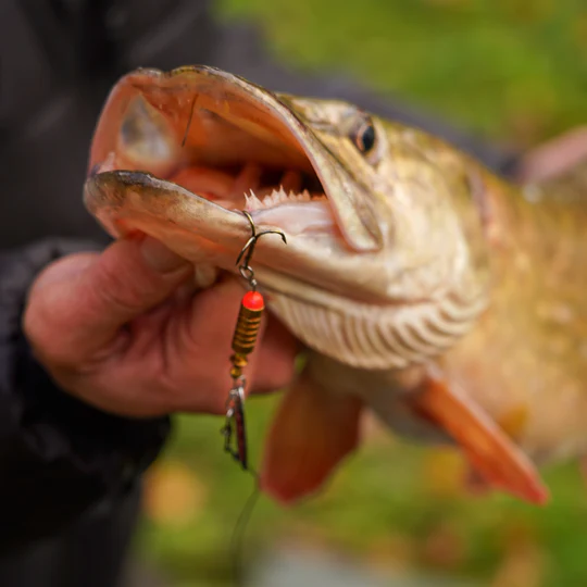 OMC FC Lure Kits - Image 2