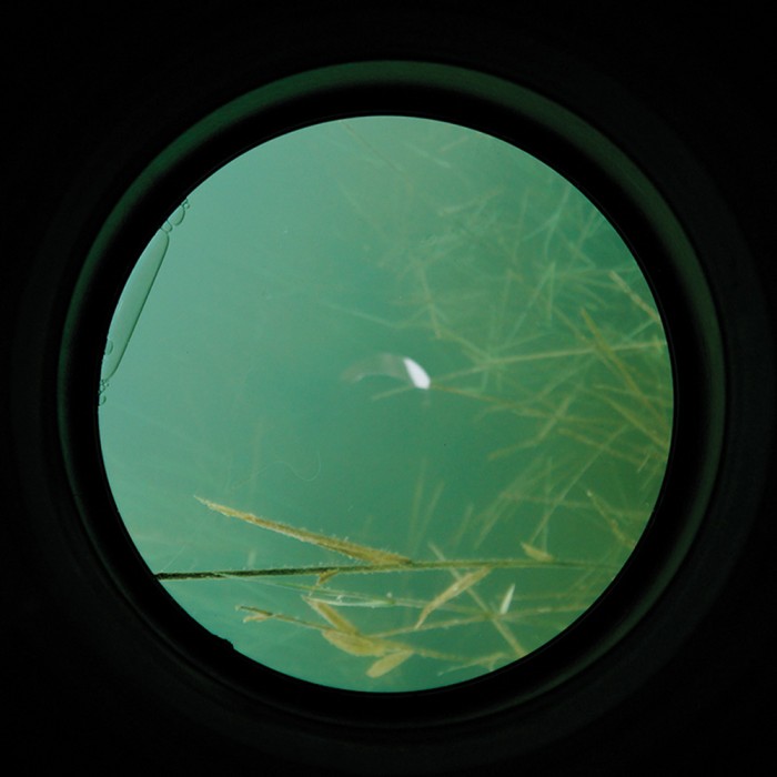 Carp Spirit Water Scanner Aqua Scope - Image 9