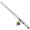 Daiwa Predator D-SPIN 6ft 6in 5-20G / 2500 Spinning COMBO