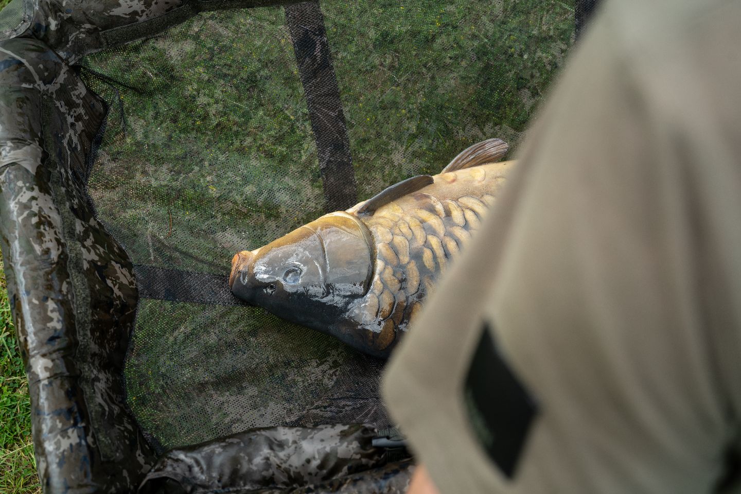 Nash Hi-Protect Carp Cradle Camo Monster - Image 3
