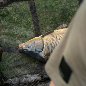 Nash HiProtect Camo Carp Cradle - Image 3