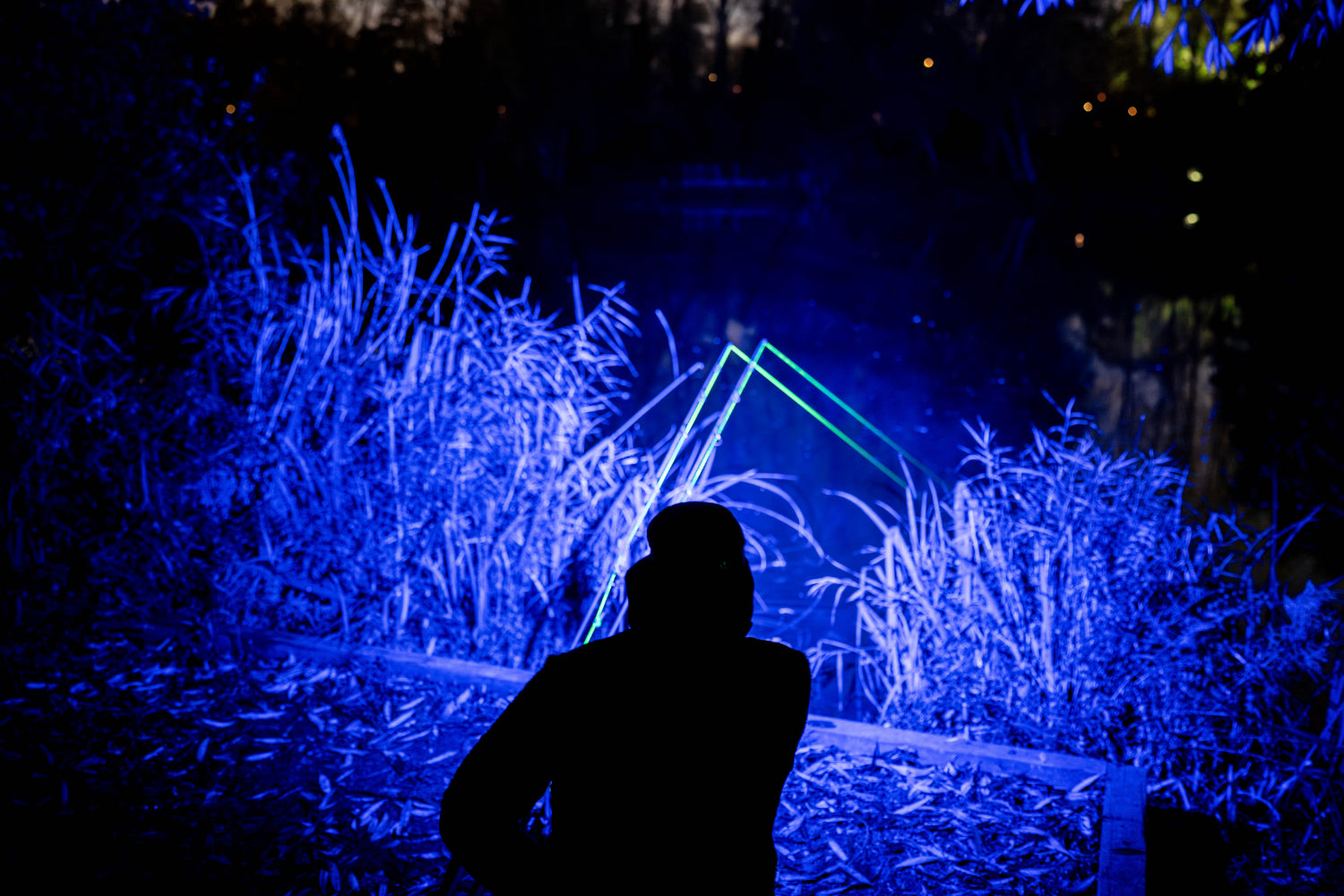 Nash Powerbanx UV Lite Head Torch - Image 2