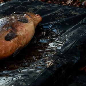 Alternative view of CarpLife Eclipse Camo MF Combi Mat