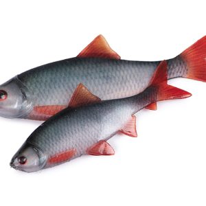 Alternative view of Fox Rage Ultra Natural Fillet