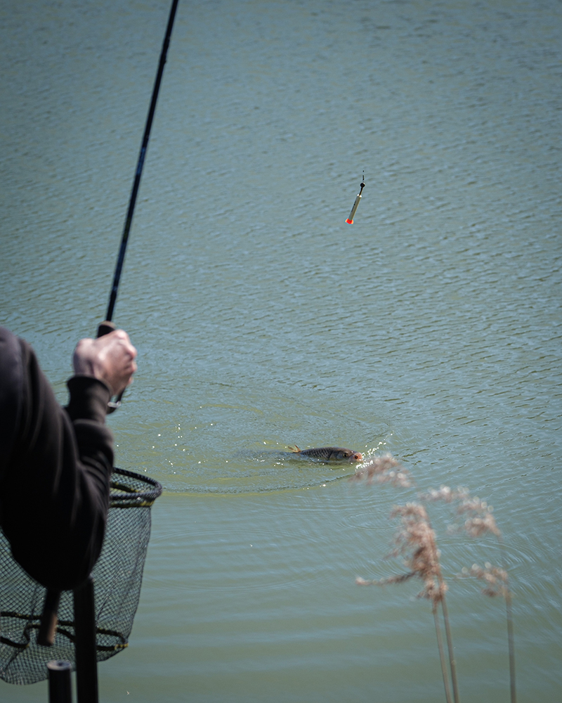 Matrix 12mm Foam Pellet Waggler - Image 12