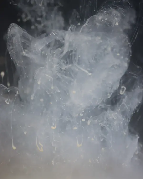 DNA Baits SECRET 7 Amino Smoke - Image 4