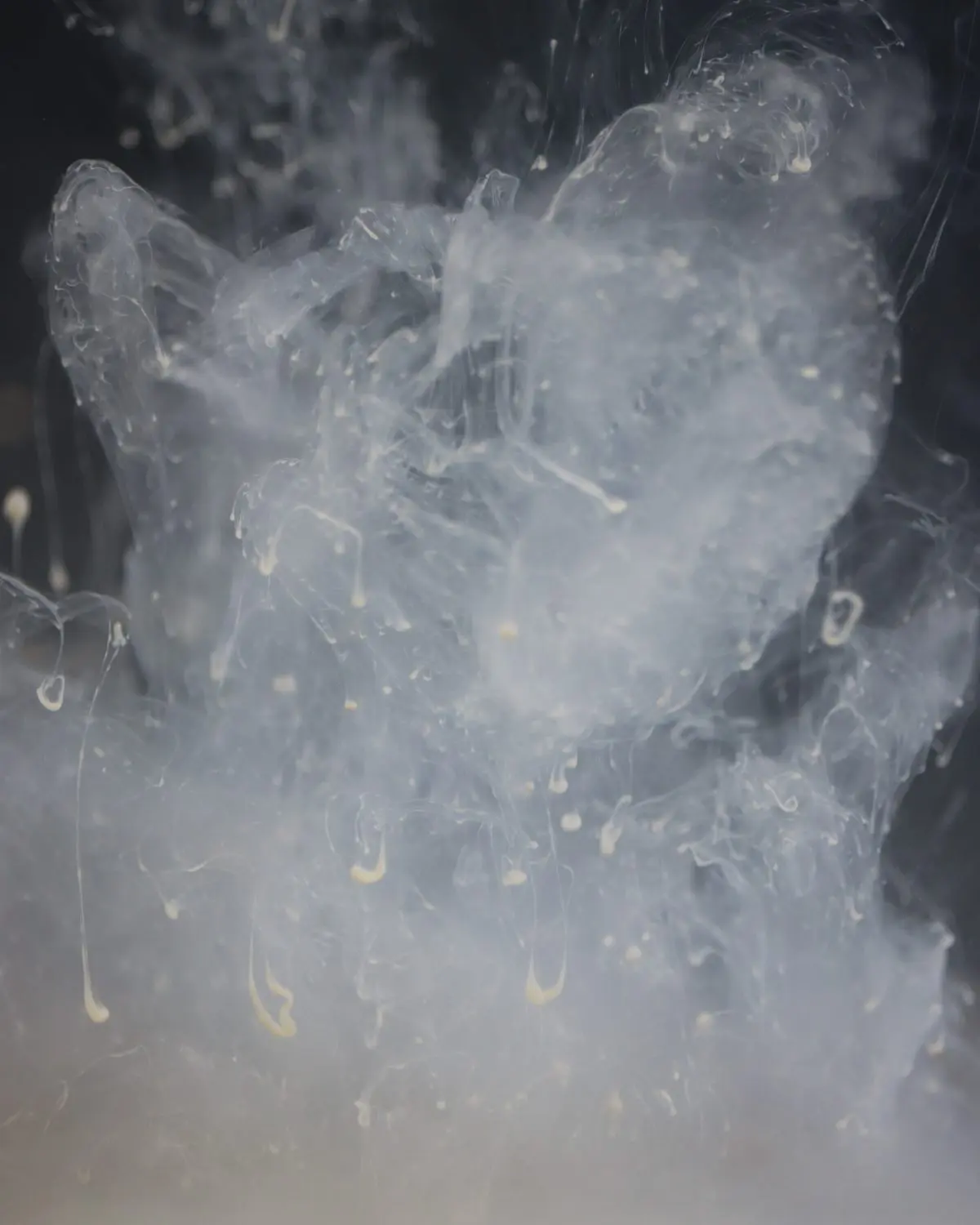 DNA Baits The Bug Amino Smoke - Image 6