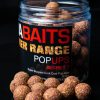 DNA Baits SECRET 7 Corker POP UP Boilie