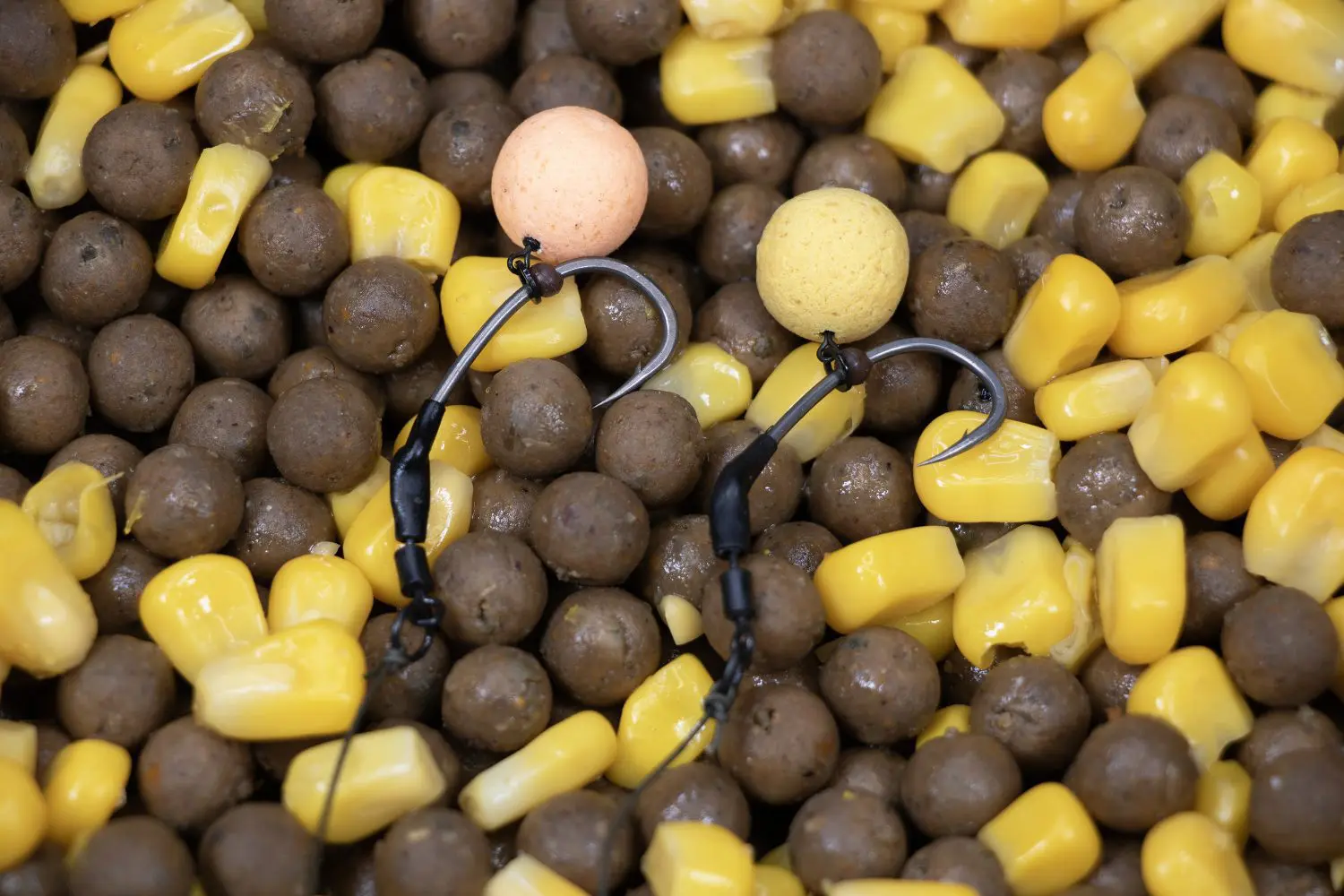 DNA Baits The Bug HalfTones (Mixed Yellow and Orange) Pop Up Boilie - Image 2