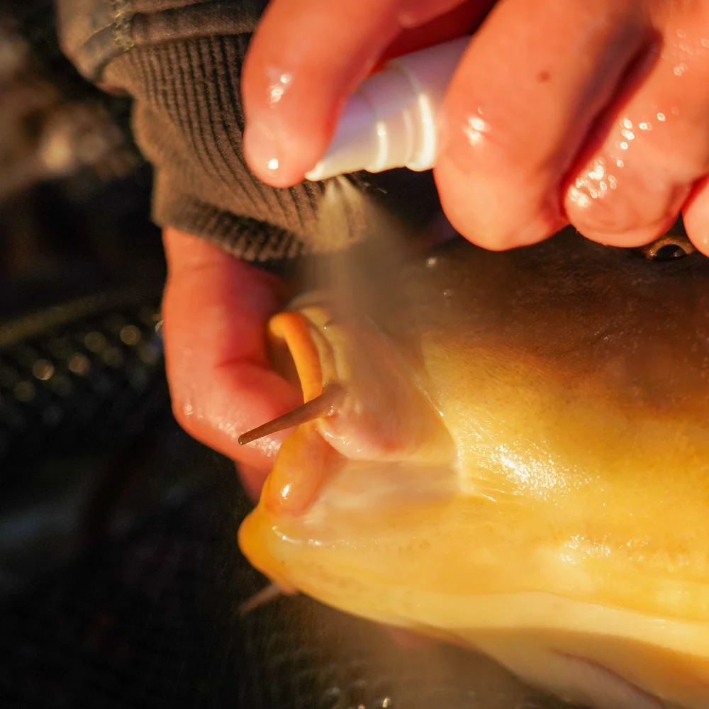 OMC Cyproguard Carp Care - Image 8