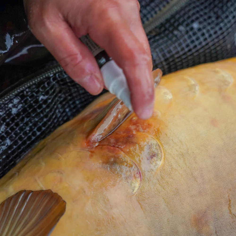 OMC Cyproguard Carp Care - Image 3