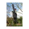 CarpLife Eclipse Camo Elite 12ft Rod Holdall
