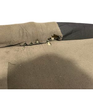 1x Fox Royale XL Bedchair - FEW HOLES IN BED - ORA631 - PRE LOVED - Image 5