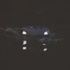 Saber Hydra Bait Boat GPS