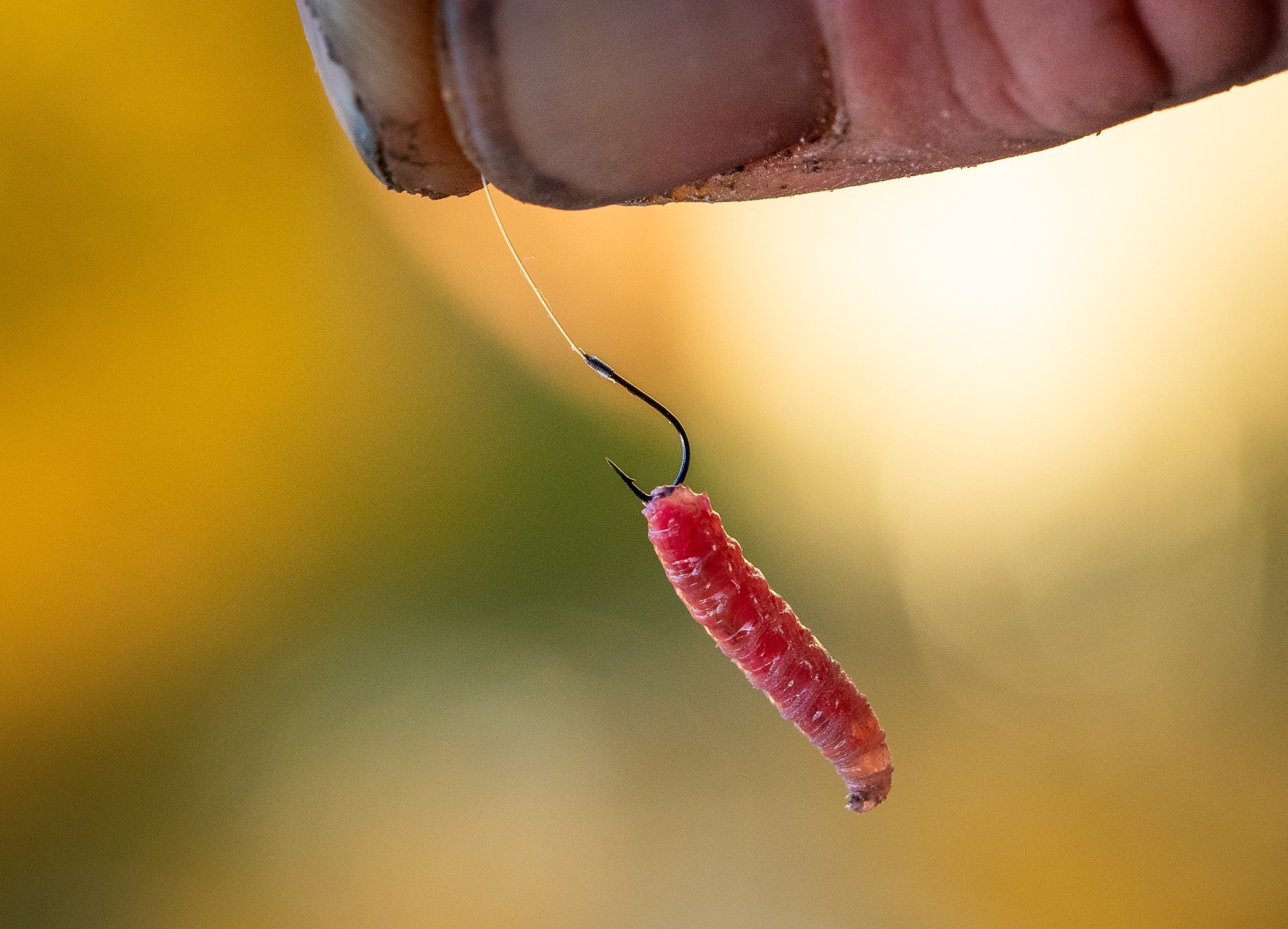Guru Match Special Rigs 8" - Image 6